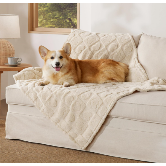 Fluffy Fuzzy Pet Blanket