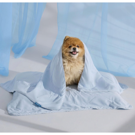 Cooling Comfortable Lightweight Pet Blanket